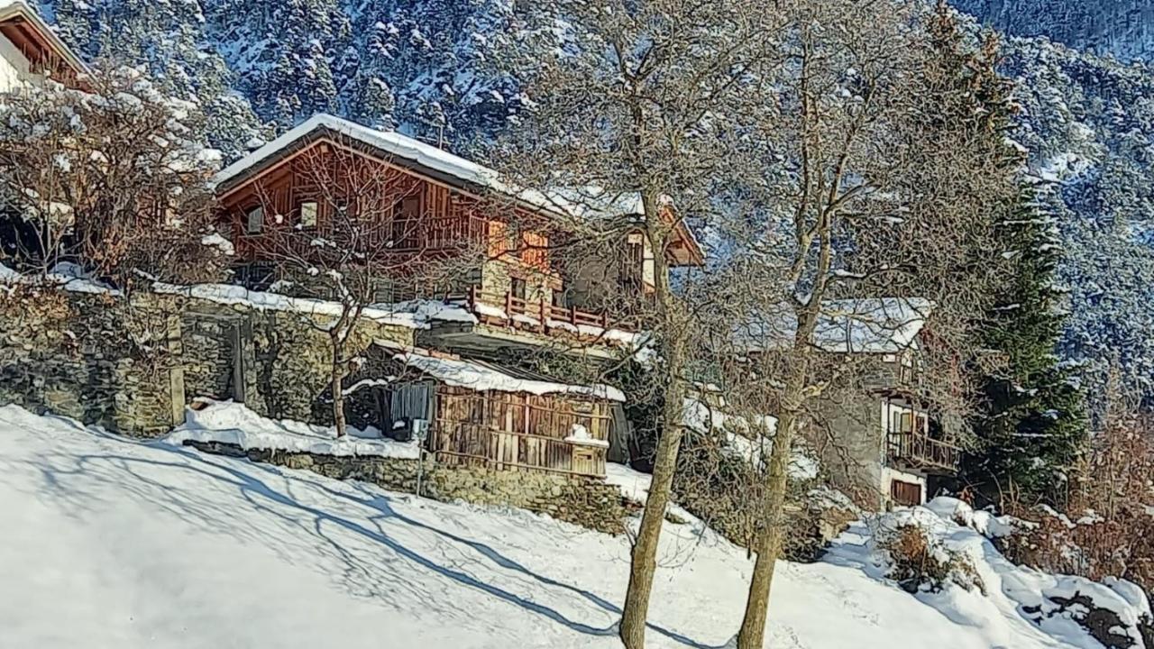 Eco Chalet Maison Dominique 查兰德圣安塞尔 外观 照片