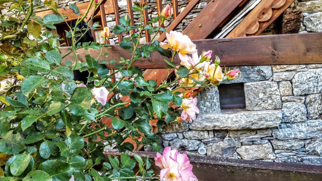 Eco Chalet Maison Dominique 查兰德圣安塞尔 外观 照片