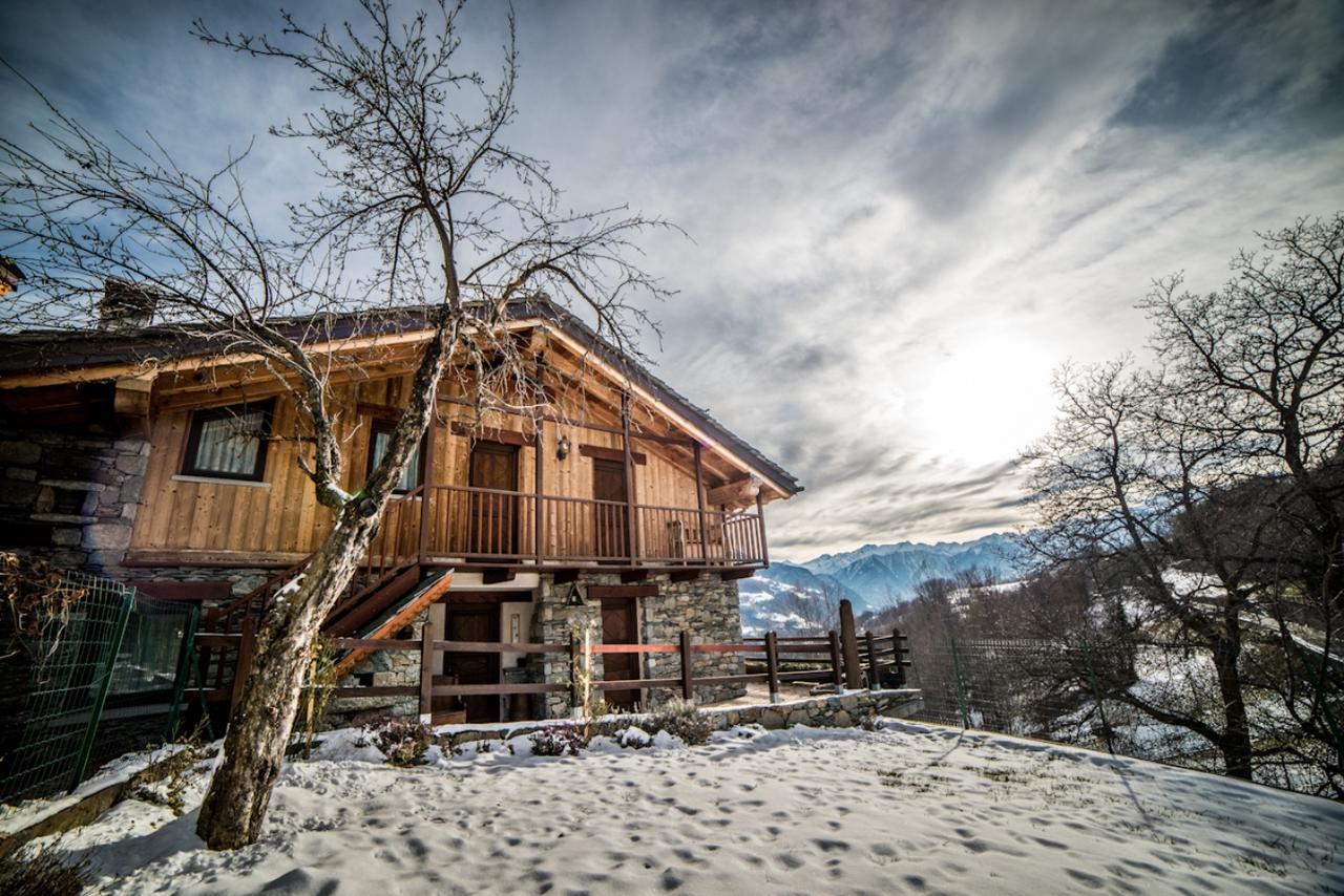 Eco Chalet Maison Dominique 查兰德圣安塞尔 外观 照片